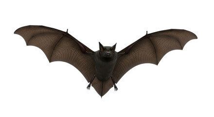 Isolated bat flying, wings spread, a nocturnal creature in flight, a dark mammal with claws