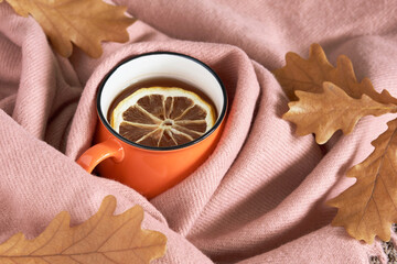 Tea with lemon surrounded by pink blanket for cozy autumn mood