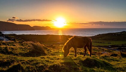 Obraz premium Scenic sunset over the ocean with a pony grazing