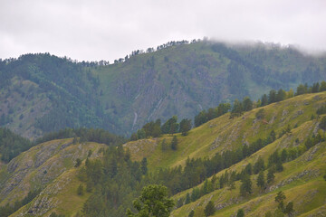 Fototapeta premium Misty forested mountain landscape with lush green hills and cloudy sky.