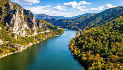 Scenic Aerial View of Forested Valley with River Under Bright Blue Sky in Autumn Colors