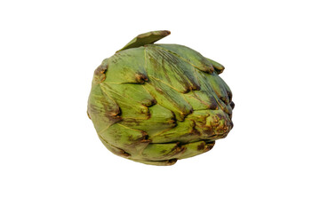Obraz premium Fresh green artichoke isolated on white background