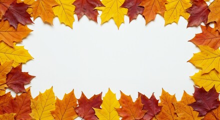 Autumn leaves forming a frame on white background for decoration  