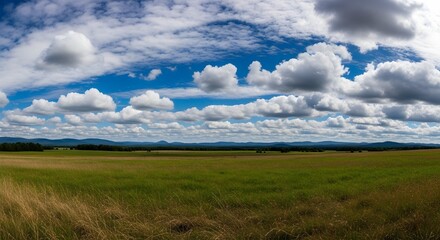 Obraz premium Vibrant landscape of a field under a bright blue sky filled with fluffy clouds.