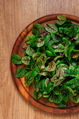 sorrel bloody Mary, fresh baby sorrel leaves, with red veins, micro-greens, on a plate,