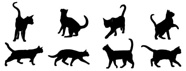 vector silhouettes of cats set