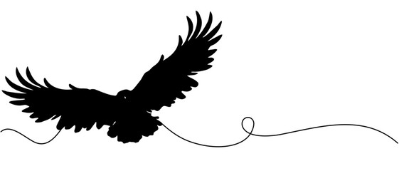 Crow with wings vector
