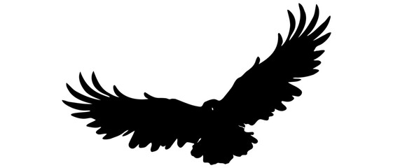 A Raven silhouette vector illustration
