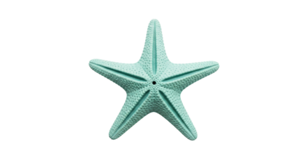 Isolated aqua starfish with five arms and a porous surface, sea creature, beach decor