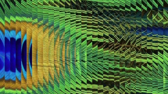 Abstract Peacock Feather: Shimmering Green Blue Texture