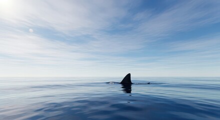 Naklejka premium Majestic Shark Fin Surfaces Calm Ocean Waters Under Blue Sky