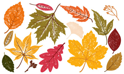 Cute fall season set. Colorful autunm leaves vector illustration. Hand-drawn elements with textures. Perfect for seasonal posters, greeting cards, patterns, packaging, and digital design.