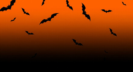 Fototapeta premium flock of birds halloween