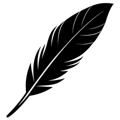 Obraz premium Black feather silhouette isolated white