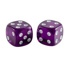 two purple dice, with white dots on the sides of each die, isolated against a white background, in a front view.