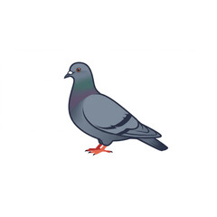 Obraz premium Charming pigeon with iridescent neck feathers stands alert, ready for any occasion.