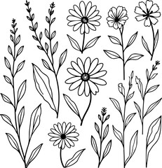 Minimalist Botanical Line Art of Wildflowers and Herbs – Elegant Floral Outline Illustration