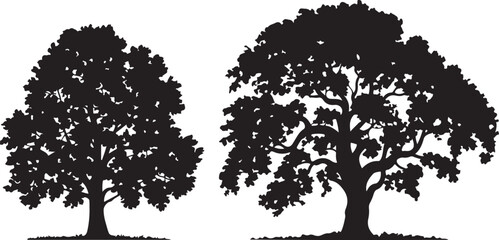 Silhouette of Lush Tree Vector Illustration with Dense Foliage on Transparent Backdrop
