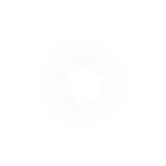 Shiny White Star Light Flare. White Glow Sparkle Effect for Magic Design Elements