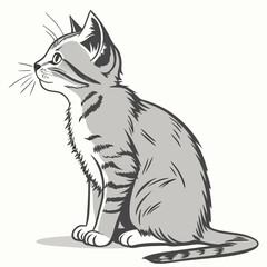 Fototapeta premium A cute grey tabby kitten sitting patiently and looking to the left with a curious expression