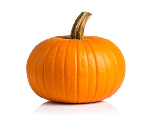 Single orange pumpkin, studio shot