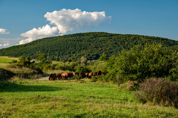 Regietów Wyżny © piotrwolak