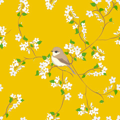 Seamless vector illustration of little birds perched on a branch with white flowers in a spring wildlife scene.