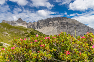 Alps mountains scenic landscape in summer. Austrian Alps scenery trekking path among the high mountain peaks in summer. Green mountain valleys with rocky peaks and lake in the Alps in Austria
