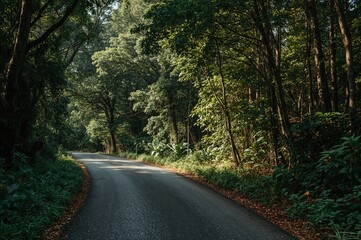 Obraz premium Trails inside protected natural areas