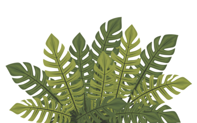 Tropical Plant Leaves Cluster removed graphic Transparent background