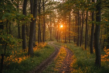 Obraz premium Trail winding through a sunlit golden forest at dawn