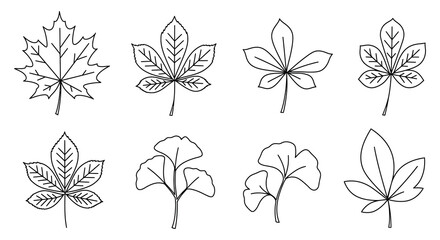 A collection of various hand drawn leaf shapes and outlines