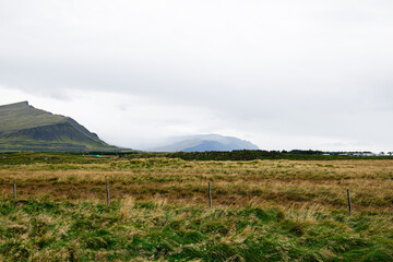 Scenic Icelandic countryside with mountains and wide grassland under cloudy skies