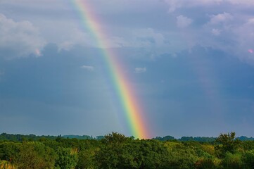 Colorful arc appearing post rainfall