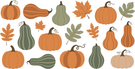 Collection of autumn pumpkins gourds and fall leaves isolated on white background