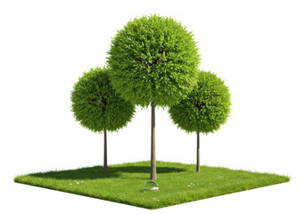 Isolated Topiary Trees on Grass Patch, Garden Sphere, Decorative Greenery Design Element