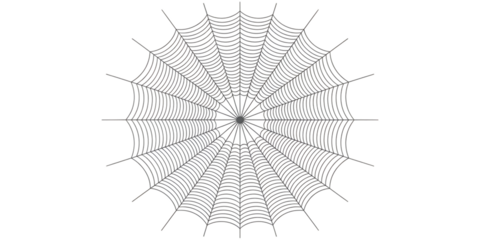 Intricate spider web design for Halloween and nature projects, capturing delicate artistry