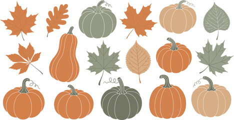 Collection of autumn leaves and pumpkins in muted earth tones isolated on white background