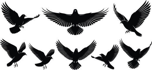 Flying pigeons and doves in different poses, vector illustration