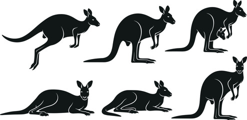 Kangaroo silhouettes set, jumping, sitting, standing, and pouch poses, Australian wildlife vector illustration for design and education