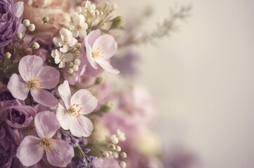 Fototapeta premium Soft Purple Banner with Blossoming Margaret Flowers Against a Faded Backdrop