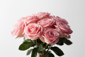 Bouquet of pink roses against a white backdrop