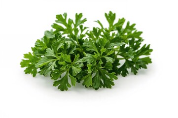 Obraz premium Green parsley isolated on white surface
