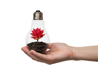 Isolated conceptual shot of a hand holding a light bulb with a plant inside of it