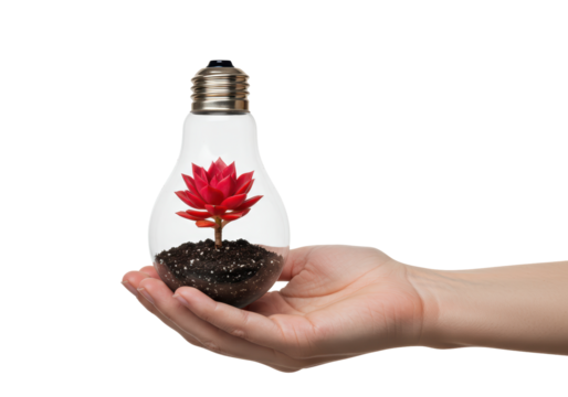 Isolated conceptual shot of a hand holding a light bulb with a plant inside of it