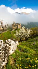 Mountaintop ruins with spring blossoms