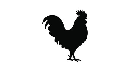 A striking black rooster profile against a white background silhouette
