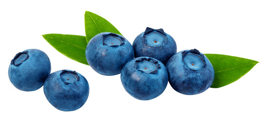 Blueberries and green leaves with transparent background