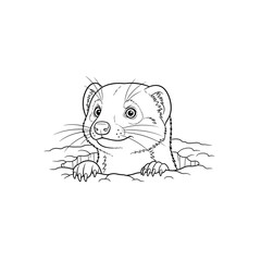 Cute Line Art Stoat Peeking Out From Burrow: Vector Illustration of Mustela erminea for Coloring Books and Wildlife Education Materials, Black and White