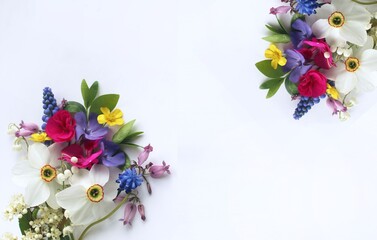 Spring flowers on a white background. Flat lay, top view.